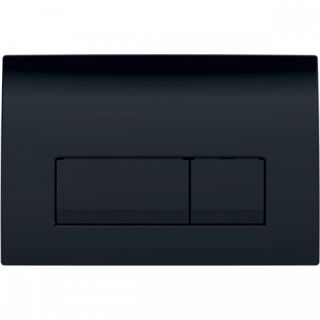 Смывная клавиша Geberit Delta 51 115.105.DW.1 черный глянец